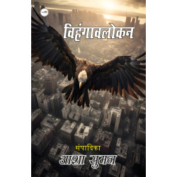 विहंगावलोकन